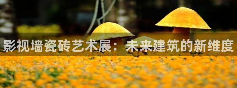 桃花影院电视剧完整版在线观看：影视墙瓷砖艺术展：未来建筑的新维度