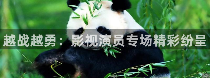 桃花影院在线播放免费观看：越战越勇：影视演员专场精彩纷呈